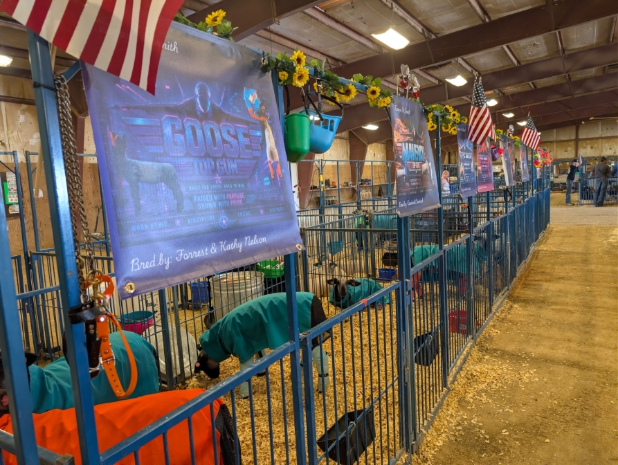 County Fair, 2026